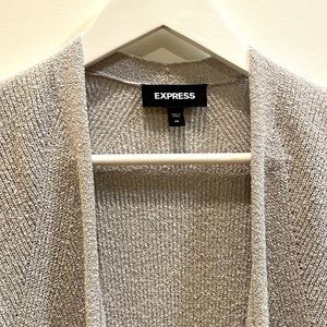 Express Gray Long Sleeve long sweater